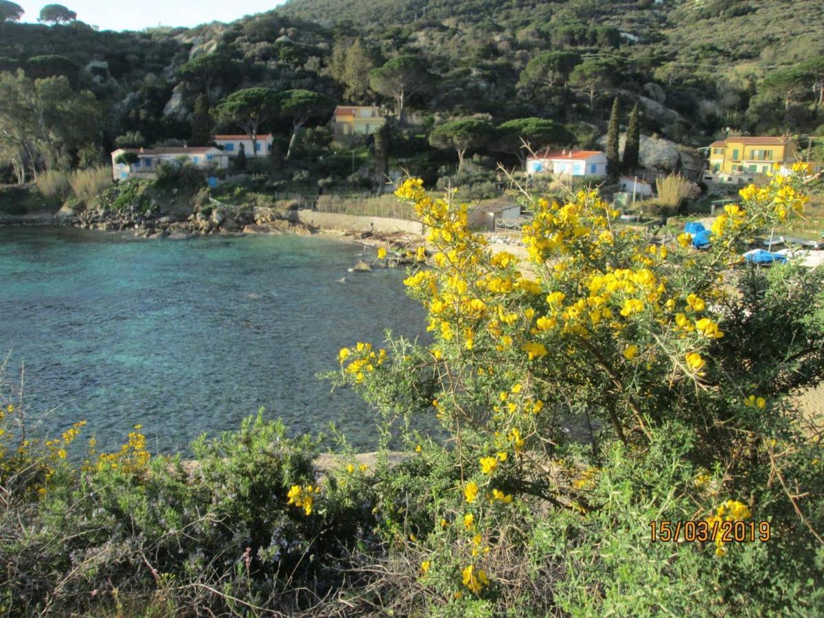 فيلا Casa Margot Arenella  المظهر الخارجي الصورة